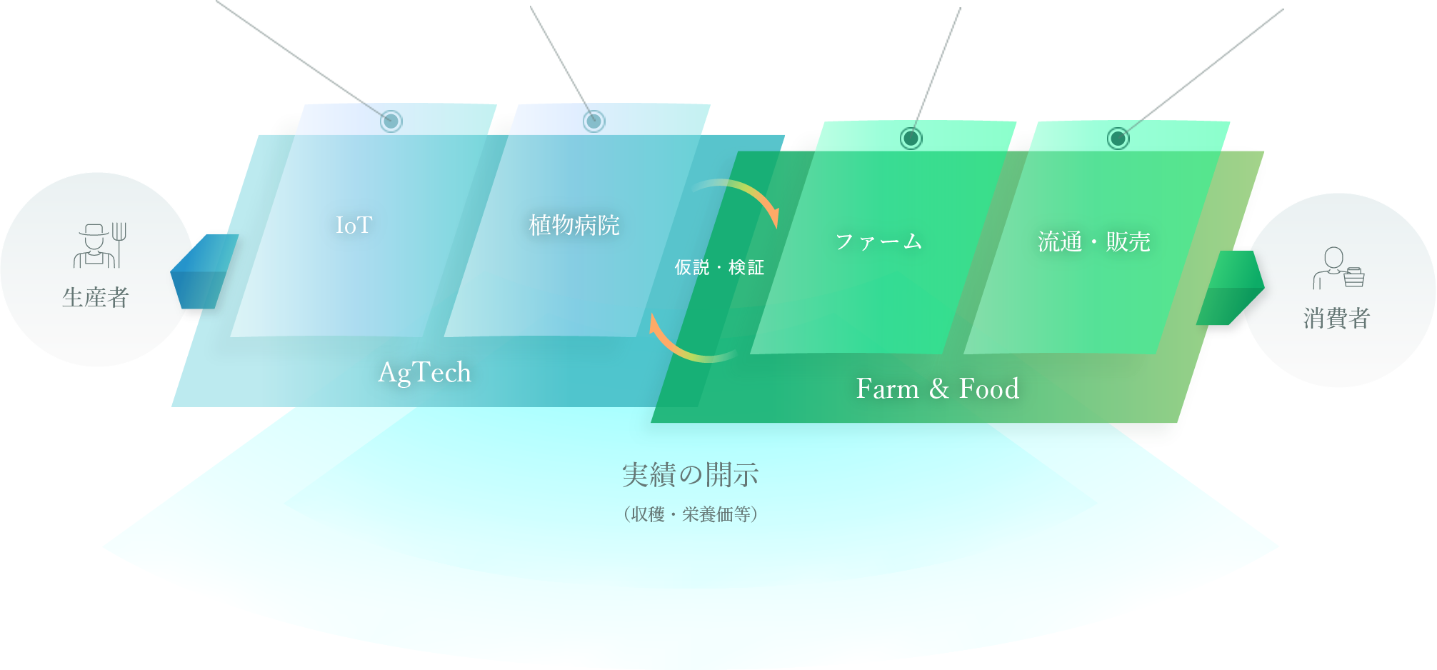 事業相関図